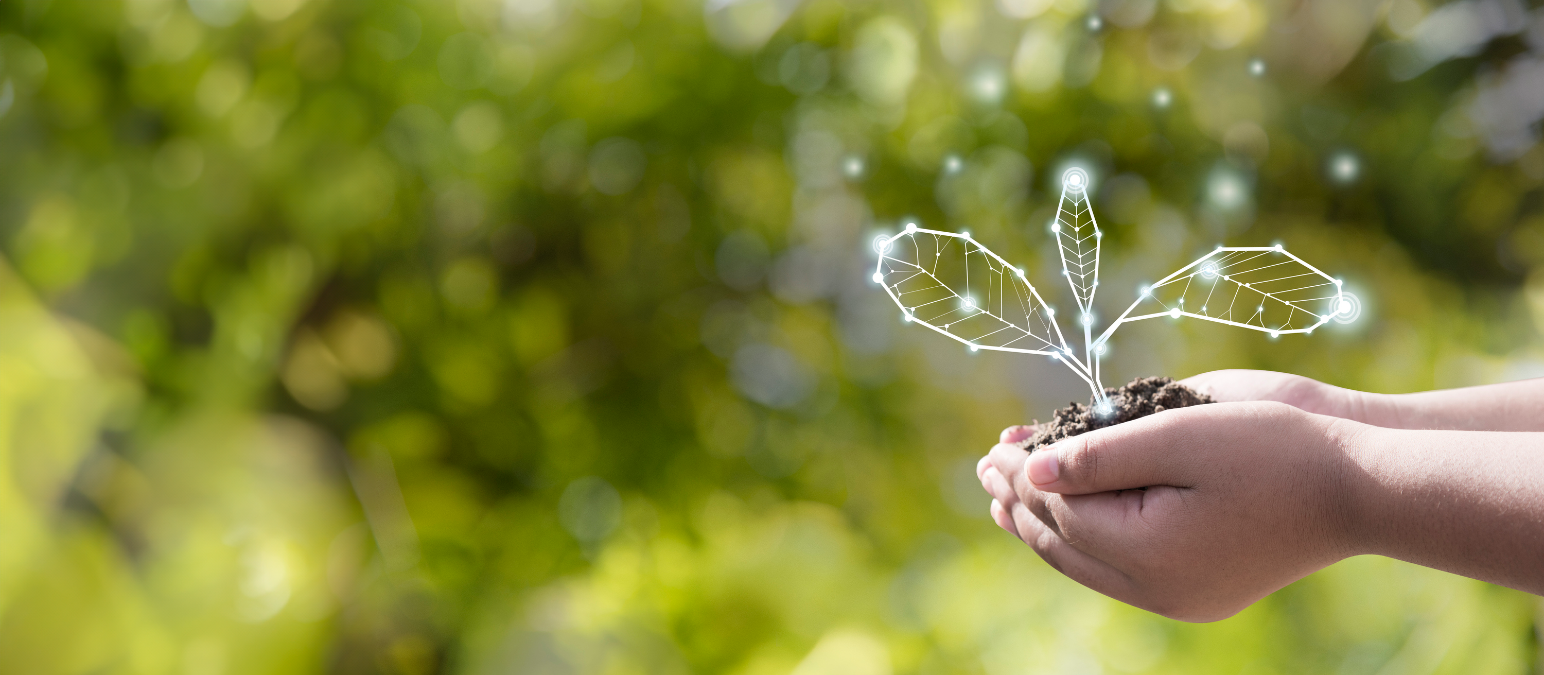 energy company reduce carbon foot print hands holding a leaf drawn with light and energy